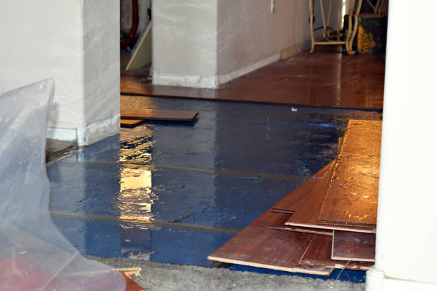 Professional Sewage Cleanup technician working in Westford, MA